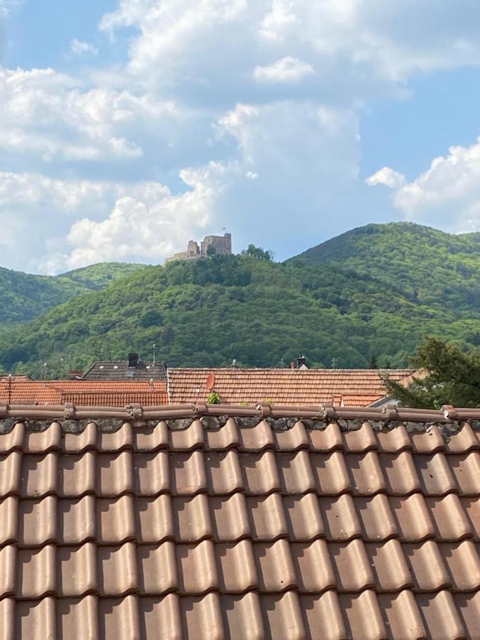 Vintner Suites Neustadt an der Weinstraße Kültér fotó
